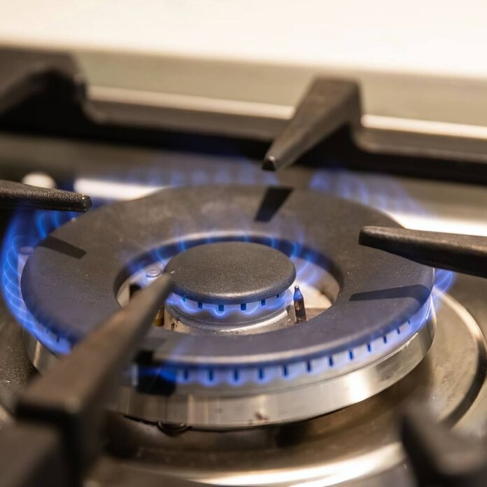 Gas Pipe Inspection